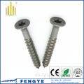 Tornillo de madera de acero inoxidable tornillo de tapping Torx